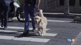 Gli occhi di chi non può vedere thumbnail