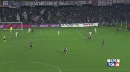 Frenata del Milan Atalata americana thumbnail