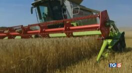 Petrolio, gas, grano rincari senza sosta thumbnail