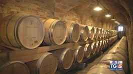Alla ricerca del vino perfetto thumbnail