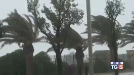 Pioggia, freddo e neve Ora è autunno vero thumbnail