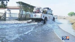La denuncia dei residenti del lido di Volano, devastato dalle alluvioni thumbnail