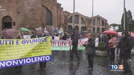 "Vulnerabili e indifesi sempre i più colpiti" thumbnail