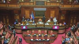 Pace armata nel governo thumbnail