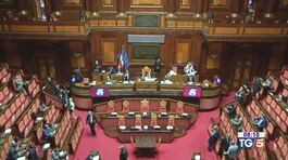 Pace armata nel governo thumbnail