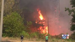 Caldo soffocante, ancora incendi thumbnail
