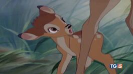 Bambi nel fa 80, è ancora amatissimo thumbnail