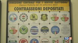 La carica dei 101 ora i candidati thumbnail