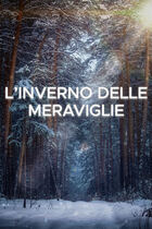 L'inverno delle meraviglie