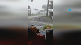 Filippine, allerta tifone Odette thumbnail