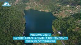 L'ambiente nella Costituzione thumbnail