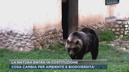 La natura entra in Costituzione thumbnail