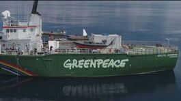 Greenpeace ha compiuto 50 anni thumbnail