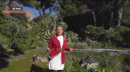 Il giardino di Villa Bell'aspetto, una meraviglia a due passi da Nettuno thumbnail