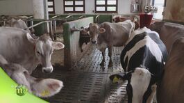 Smart farm, un'azienda agricola altamente tecnologica thumbnail