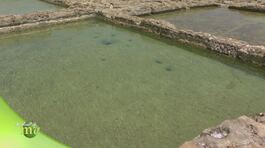 L'isola di Gozo e la sua salina antichissima thumbnail