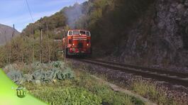 Il treno dei sapori thumbnail