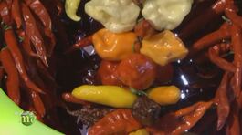 Il peperoncino thumbnail
