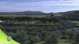 Prodotti della Maremma thumbnail