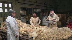 Il mistero della lana rifiutata