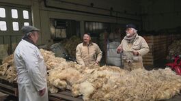 Il mistero della lana rifiutata thumbnail
