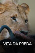 Vita da preda Vita da preda