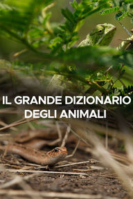 Ep. 2 - I suoni della giungla logo