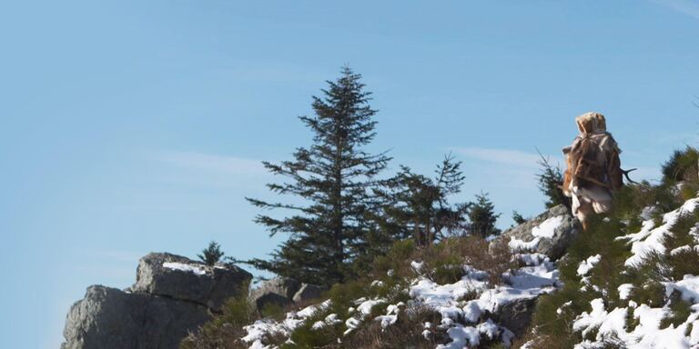 Focus Meeting Neanderthal