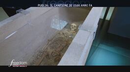 Puglia: il campione di 2500 anni fa thumbnail