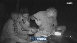 Lo spuntino notturno dei Cucaracha thumbnail