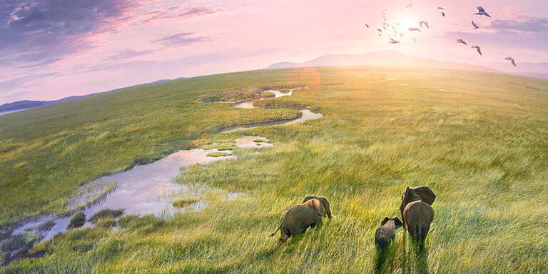 Focus Planet Earth III - Le meraviglie della natura