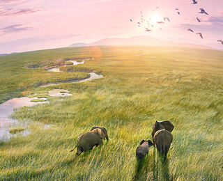 Planet Earth Iii Le Meraviglie Della Natura