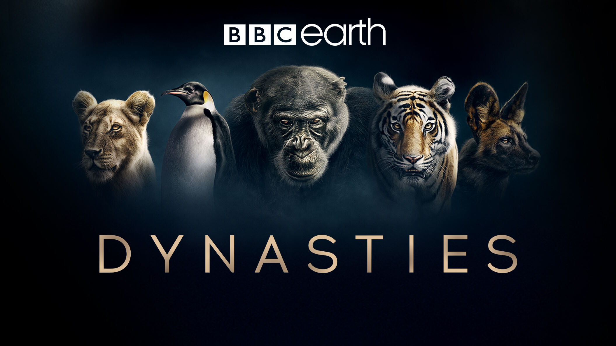 Dynasties
