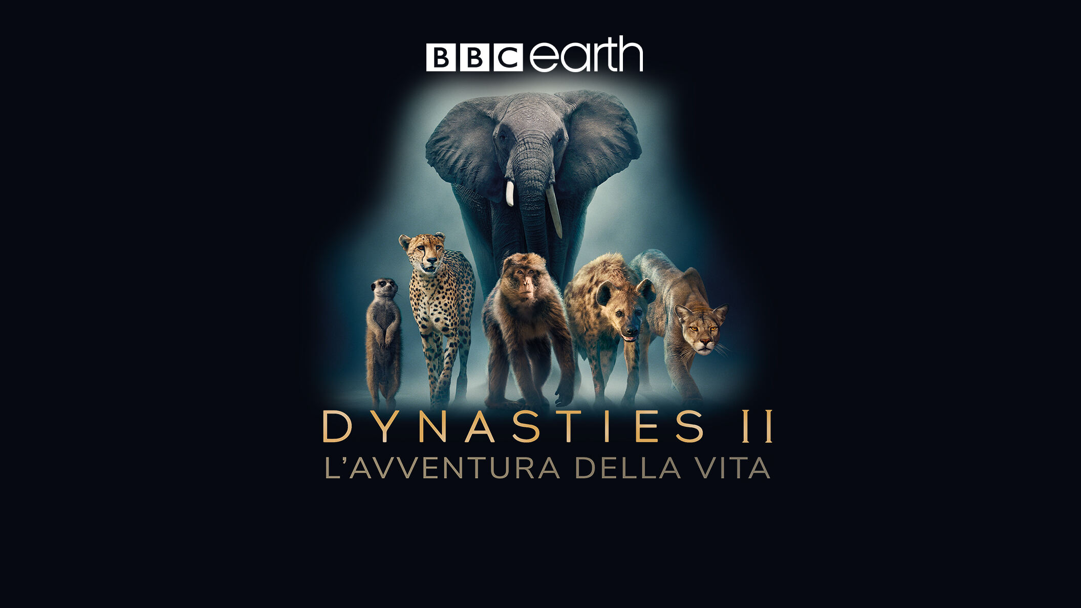 Dynasties - L'avventura della vita