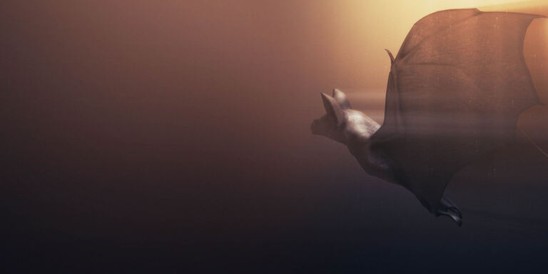 Focus Natura in movimento