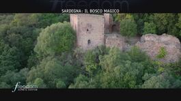 Sardegna: il bosco magico thumbnail