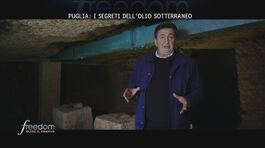 Puglia: i segreti dell'olio sotterraneo thumbnail