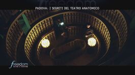 Padova: i segreti del Teatro Anatomico thumbnail