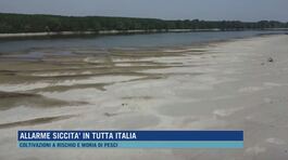 Allarme siccità in tutta Italia thumbnail