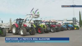 Montichiari, la protesta degli allevatori thumbnail