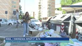 Roma, l'emergenza rifiuti è alta thumbnail