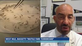 West Nile, Bassetti: "Inutile fare terrorismo" thumbnail