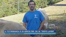 La testimonianza di un agricoltore che ha "troppo lavoro" thumbnail