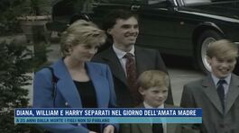 Diana, William e Harry separati nel giorno dell'amata madre thumbnail