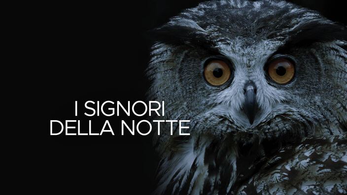I signori della notte