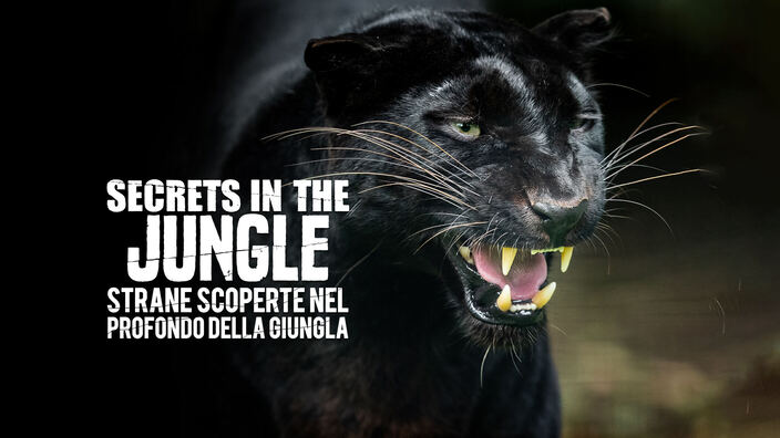 Secrets In The Jungle - Strane scoperte nel profondo della giungla