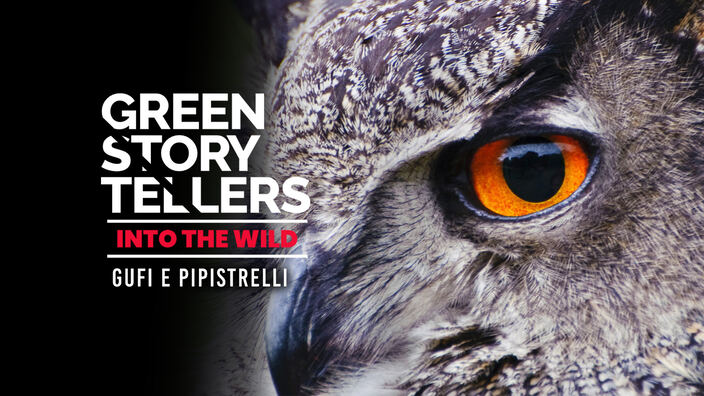 Green storytellers - Into the wild
