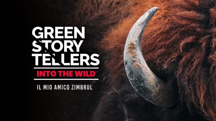 Green storytellers - Into the wild