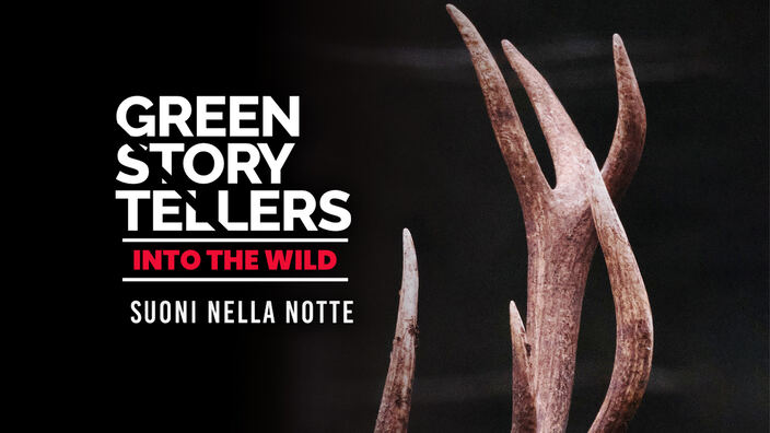 Green storytellers - Into the wild