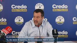 Elezioni, Salvini tra delusione e governo thumbnail